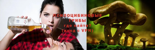 меф Майский