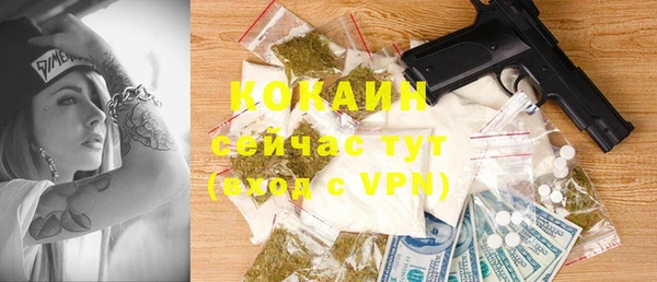твердый Магас
