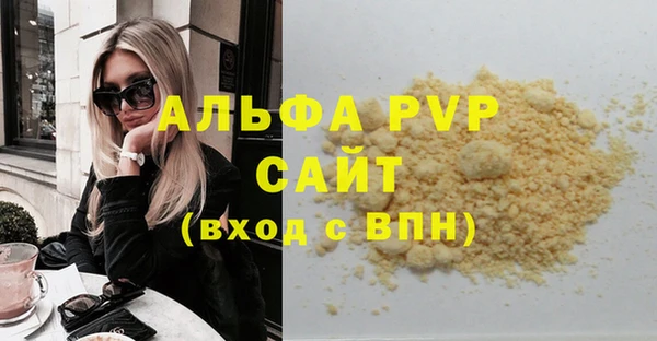 твердый Магас