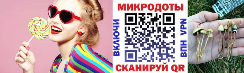 Псилоцибиновые грибы Cubensis  Купить закладки  Катайск 