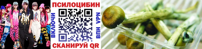 Псилоцибиновые грибы Cubensis Катайск